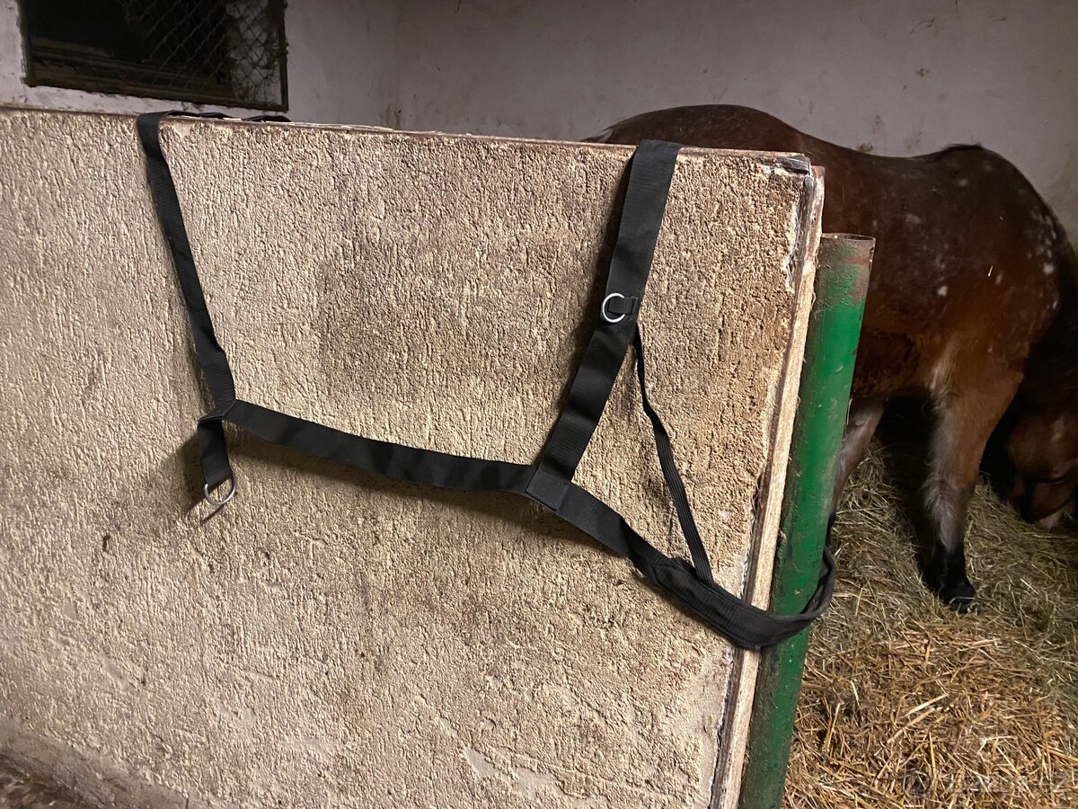 Postroj na skijoring