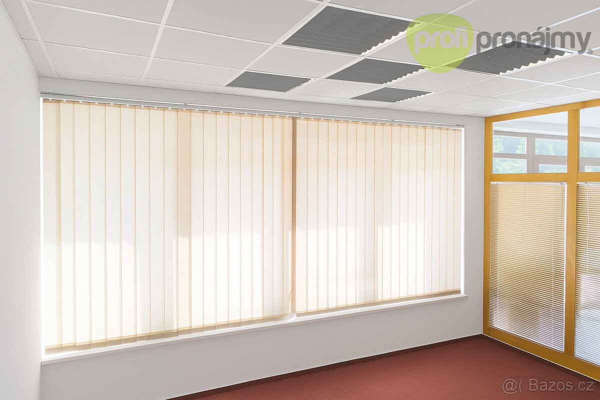 Pronájem obchodního prostoru 43 m²