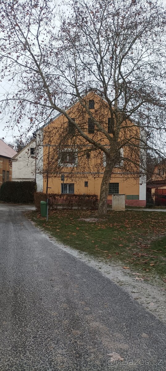 Prodám rodinný dům vhodný k podnikání