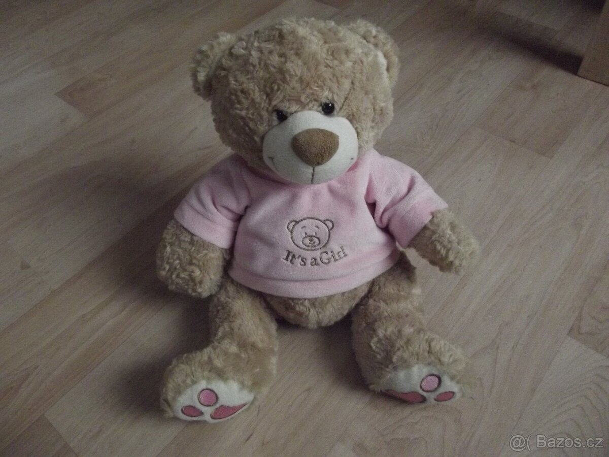 Plyšák medvěd