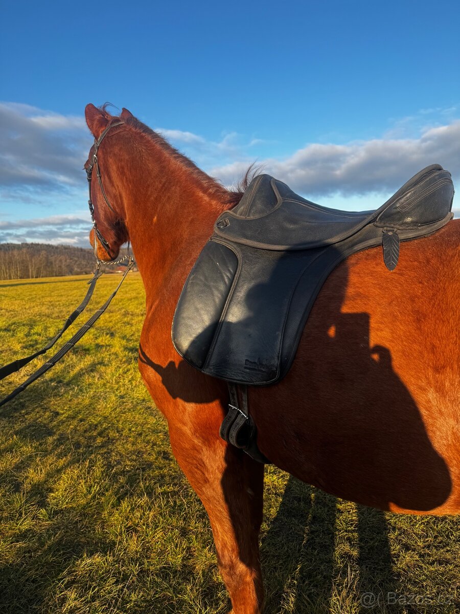 Barefoot drezurní vel. 2