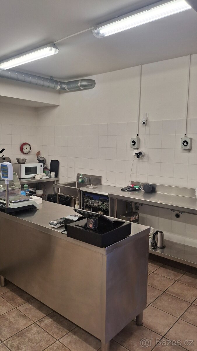 Pronajem výroby mražených produktů