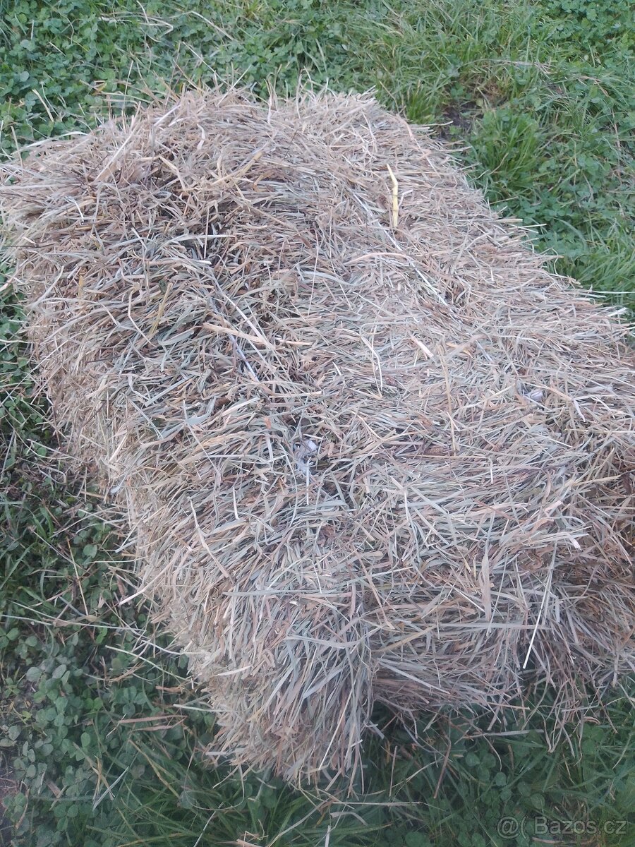 prodej sena - malé balíky