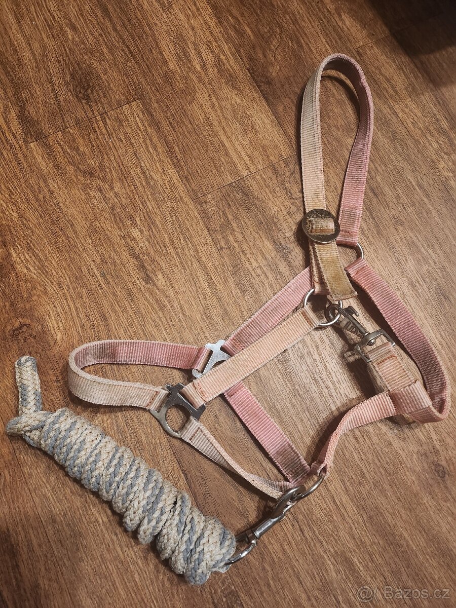 Ohlávka s vodítkem cob