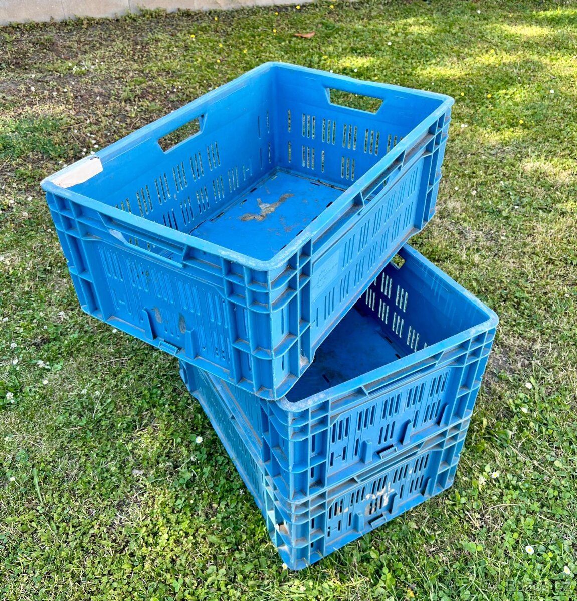 Koupím holandské přepravky velikost H