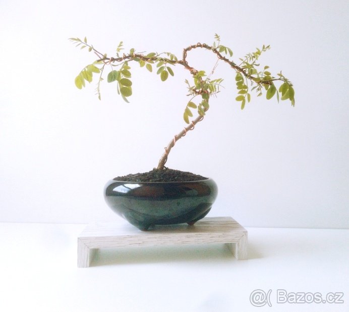 Podstavec pod bonsaj nebo pohár bílý