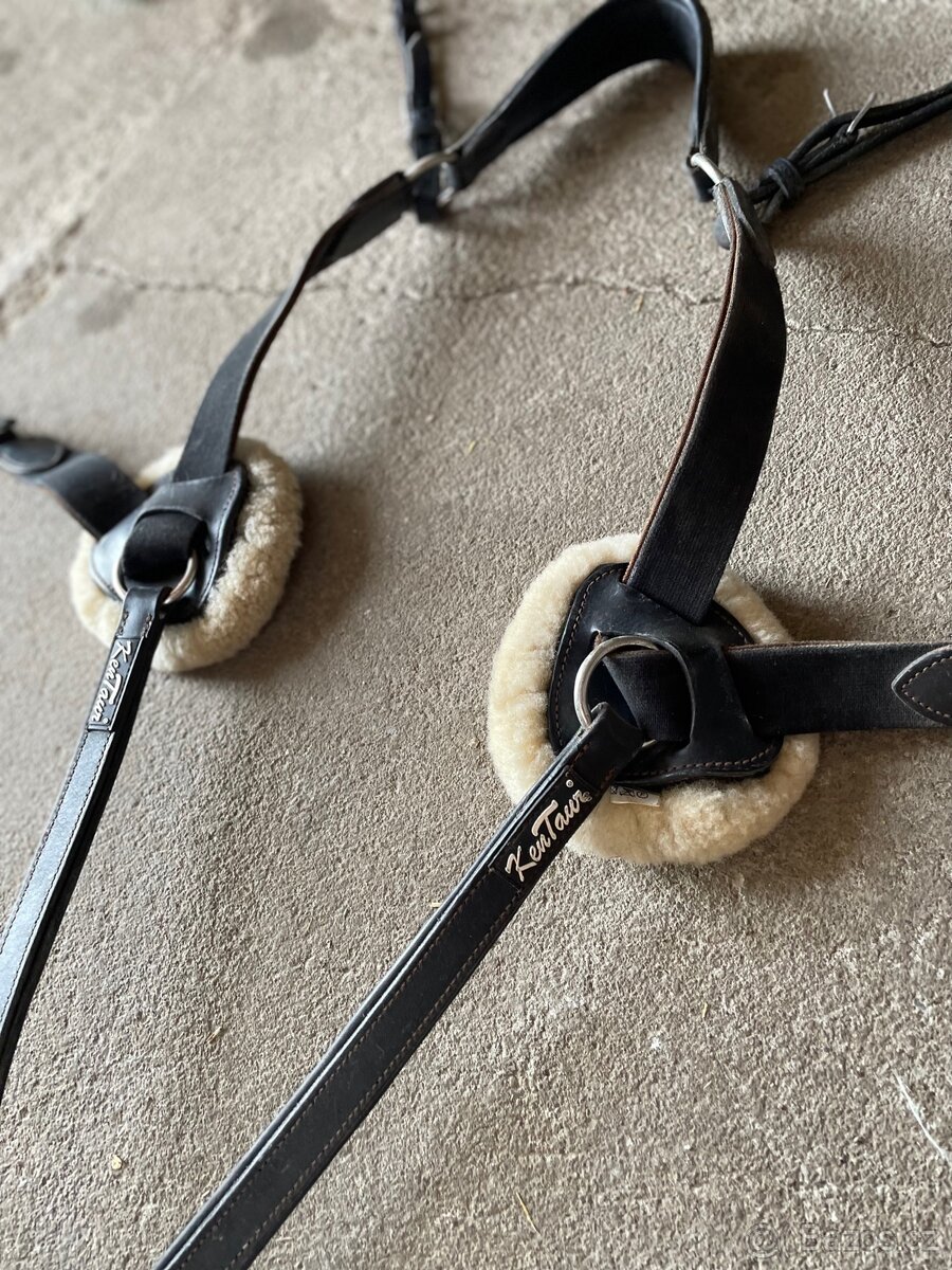 Kentaur Palermo poprsák