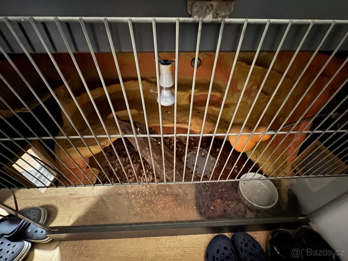 Terárium na Ještěra