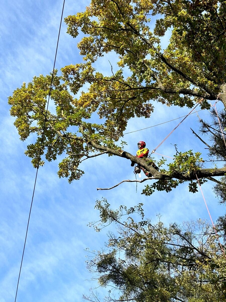 Rizikové kácení, štěpkování, terénní úpravy