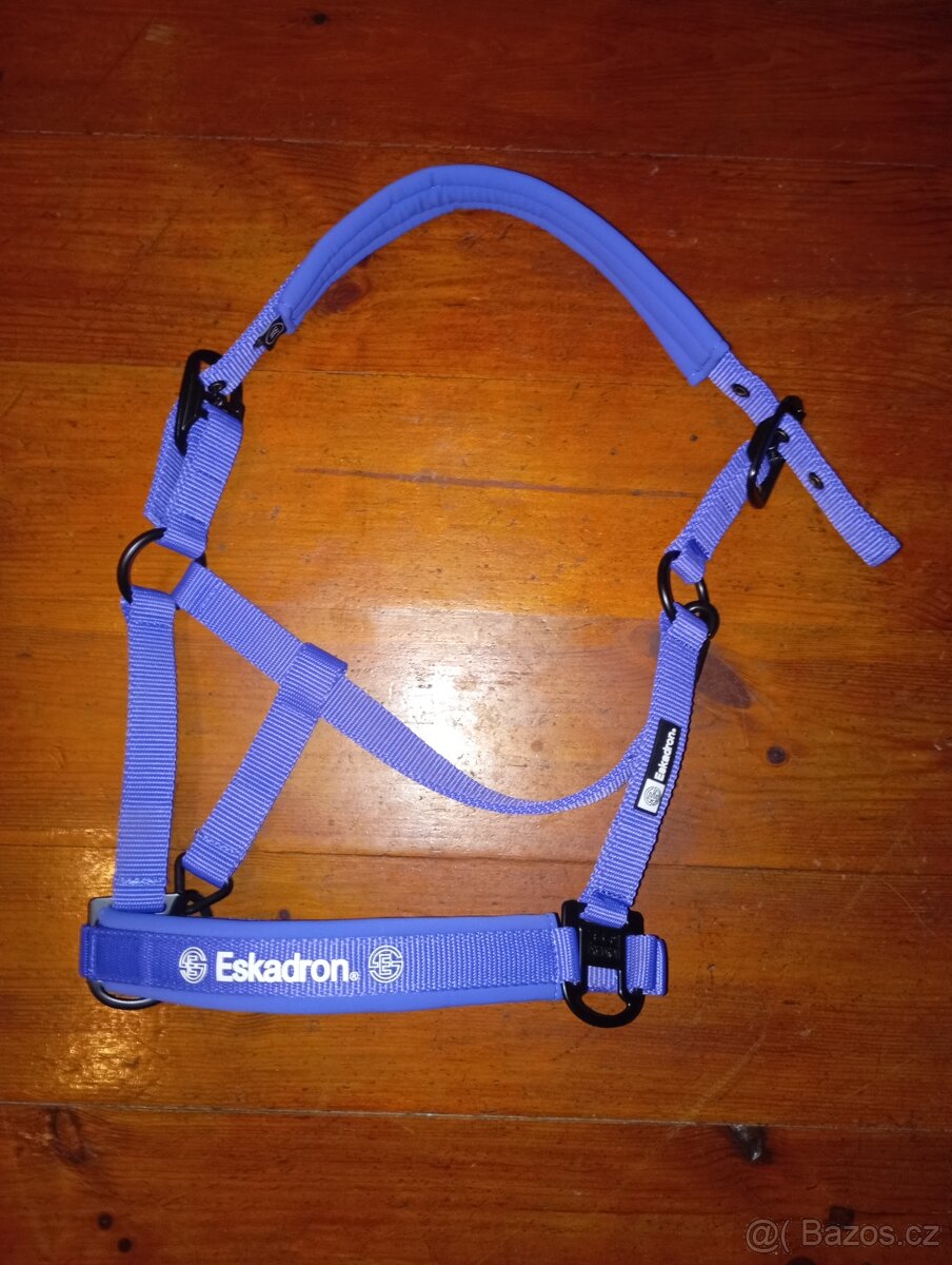 Eskadron dynamic 2024