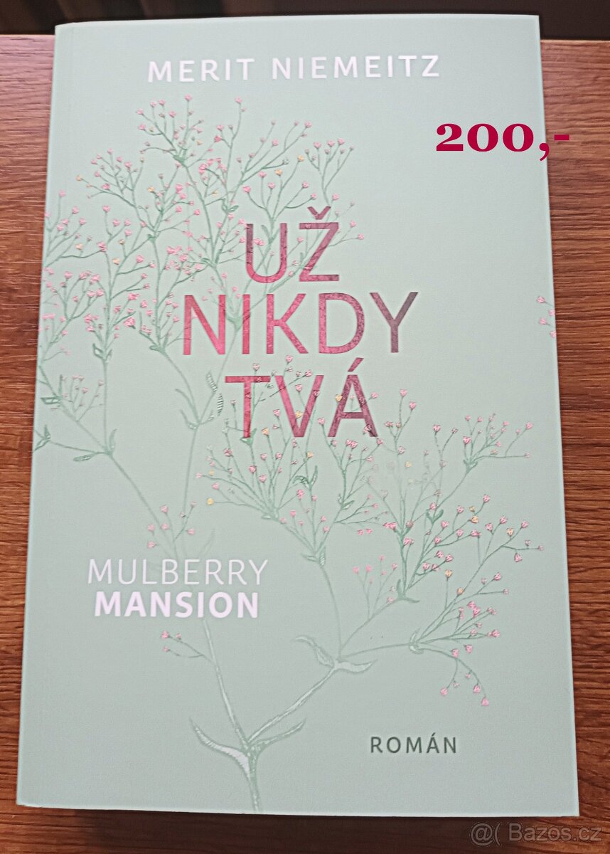 Knihy: Už nikdy tvá, Kde je ta holka?