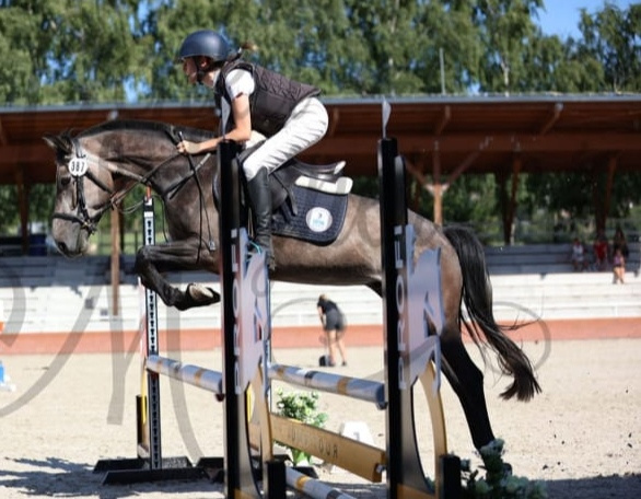 valášek pony B pro náročné