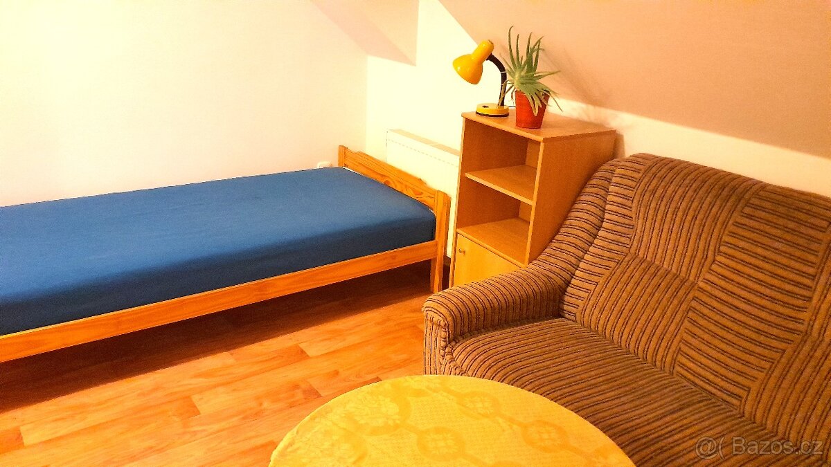 Garsonka v rodinném domě