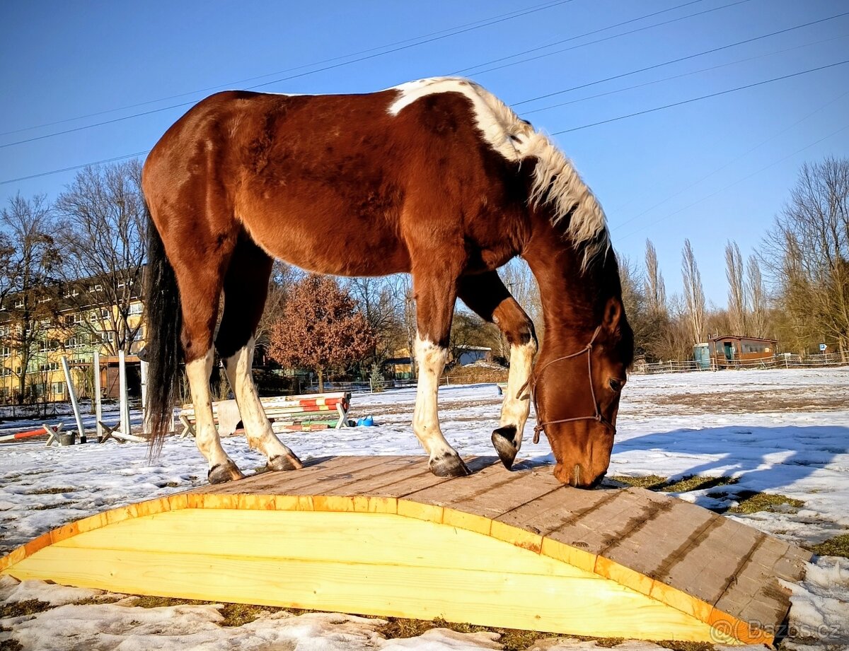 Překážky pro koně