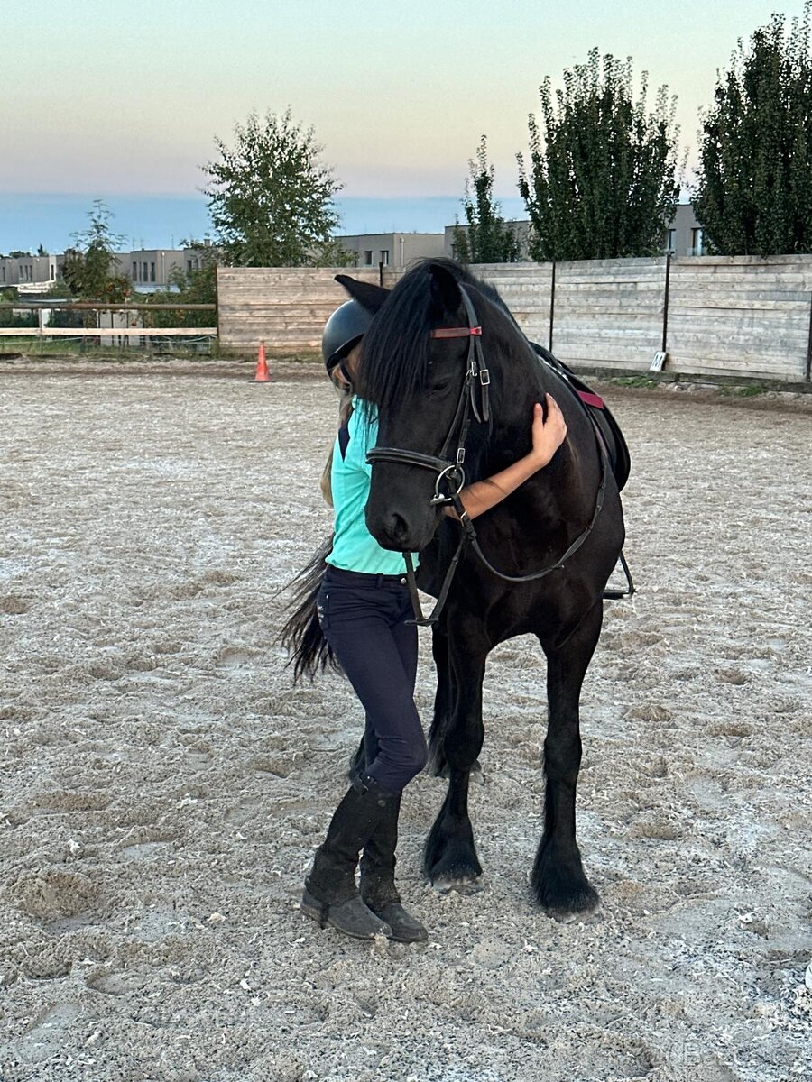 6letá klisna Fellského ponyho – sport i hobby