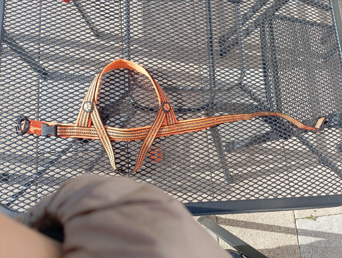 Postoroj pro štěně