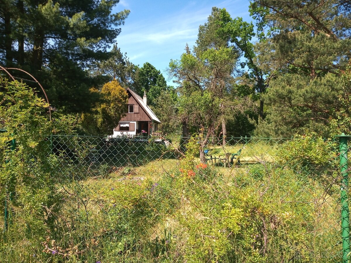 Pronajmu chatu u Dobříše .