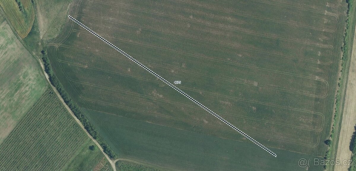 Zemědělská půda, prodej, Starovičky, Břeclav