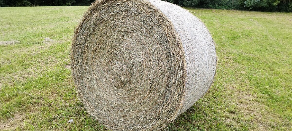 Seno kulaté balíky 150