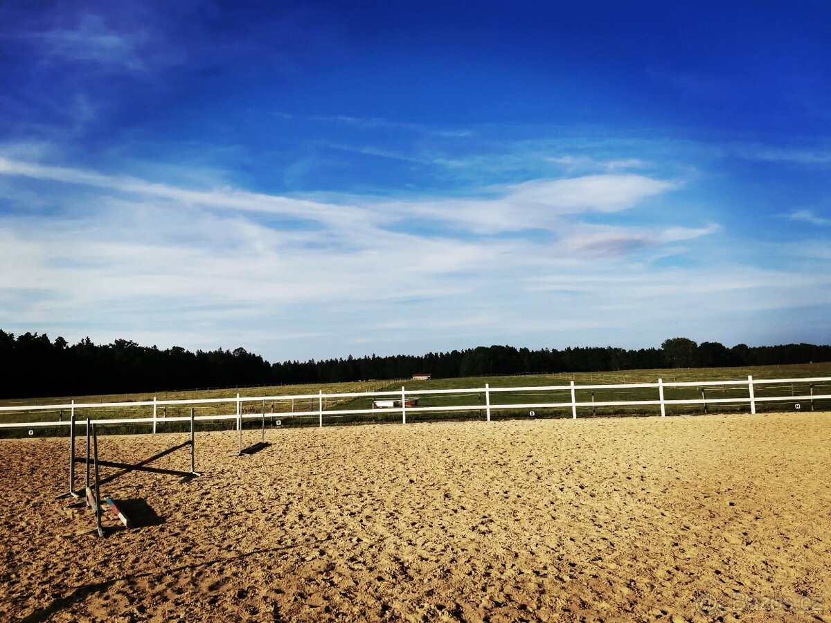 Ustájení koní Těšínov