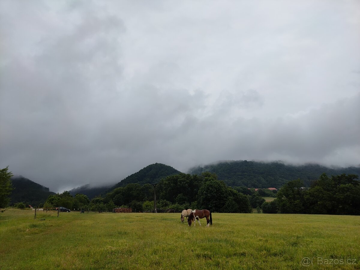 Nabízím pastevní ustájení