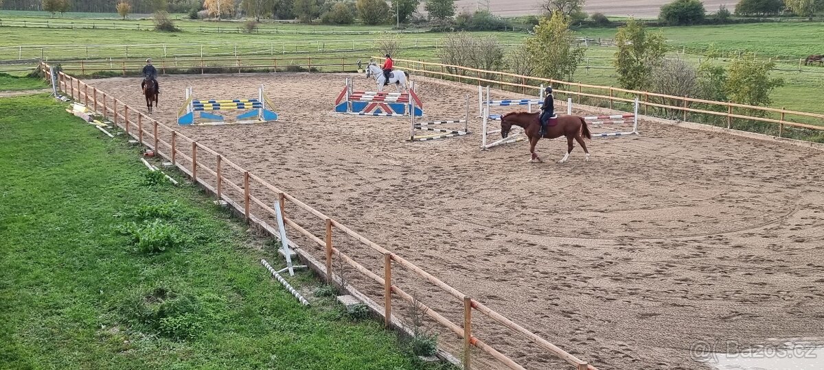 Nabízíme boxové ustájení koní na okraji Prahy.