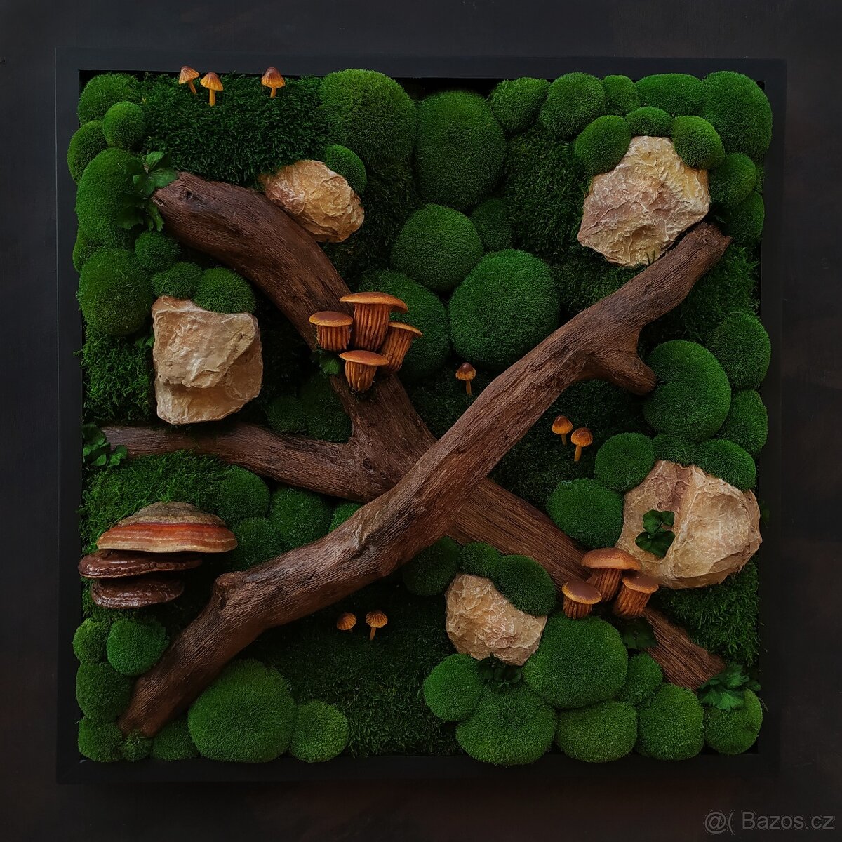 Mechový obraz / obraz ze stabilizovaného mechu