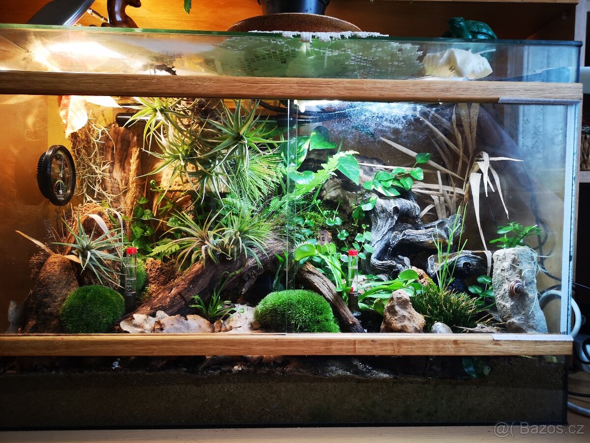 Prodám terárium s rozsáhlým příslušenstvím