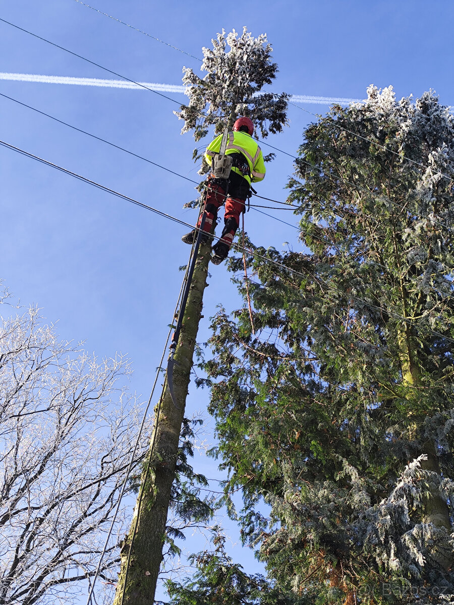 Rizikové kácení veškerých stromů-Jihočeský kraj a okolí