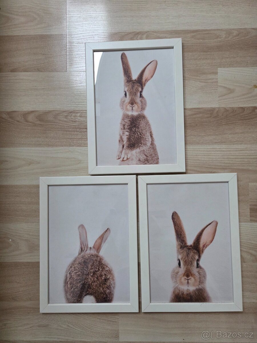 3ks obraz na zeď plakát včetně rámu Brno