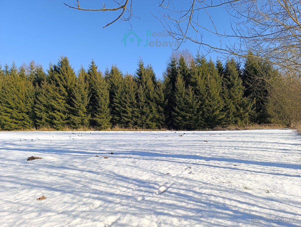 Prodej, pozemek 1.000 m², Křižánky