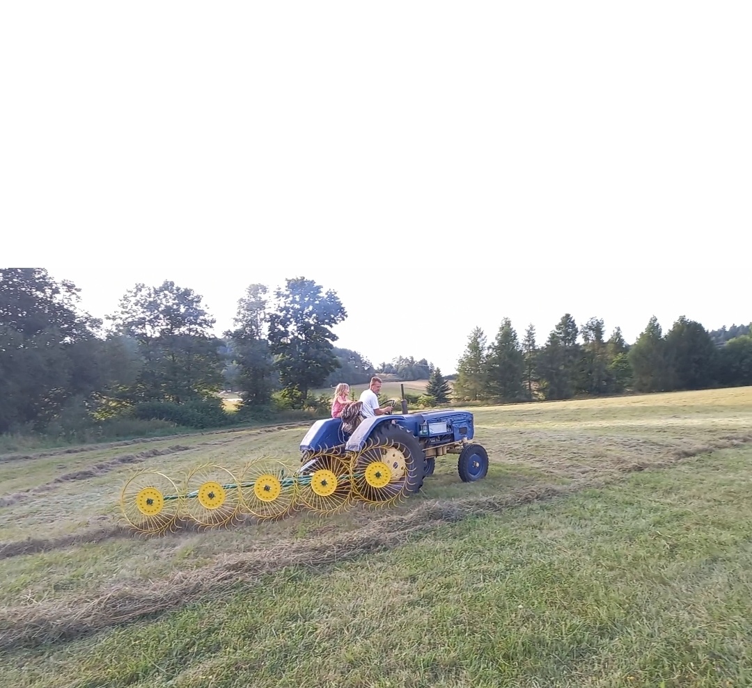 Obracak nahrabovač sluníčka