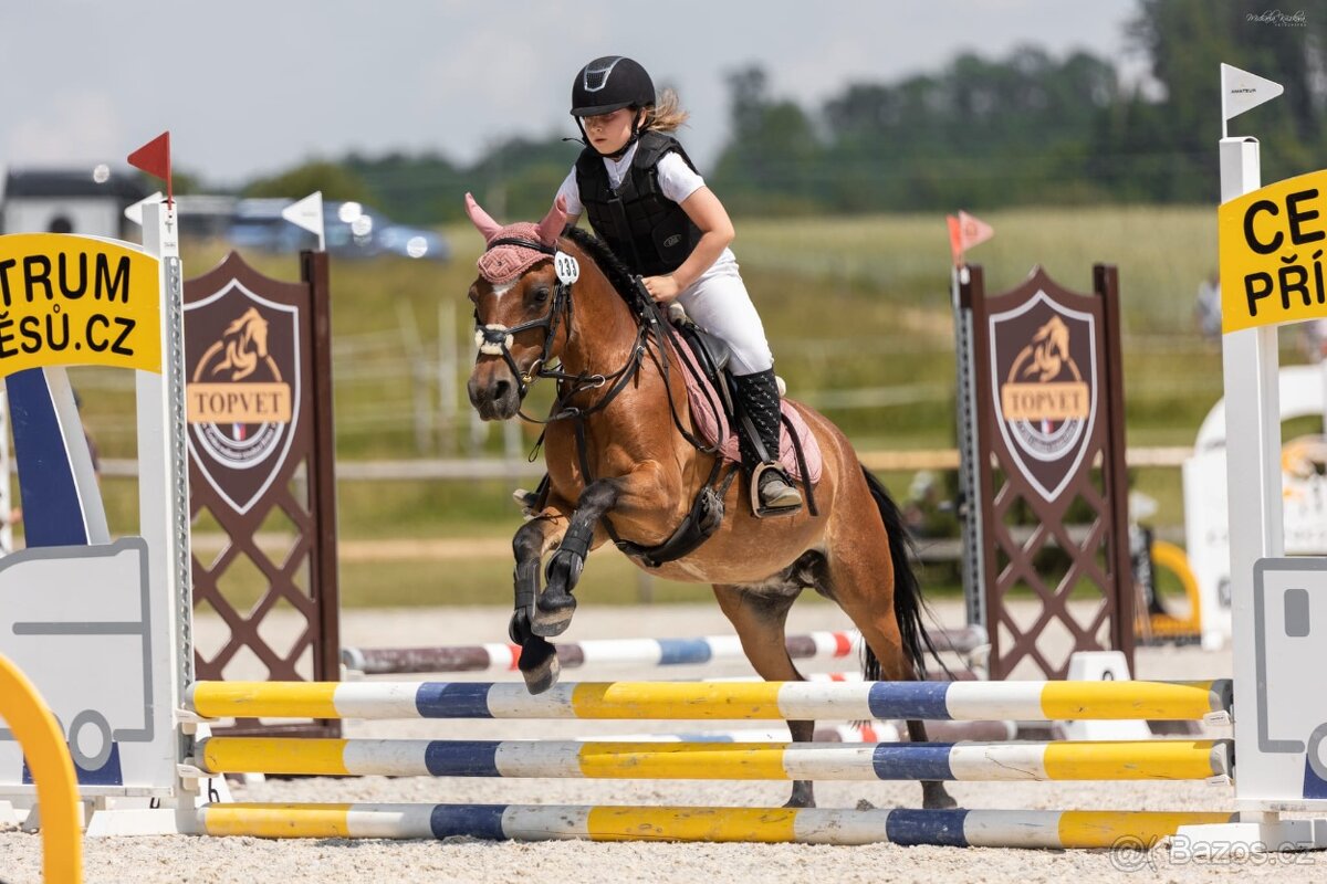 Hodná pony klisna kat. A