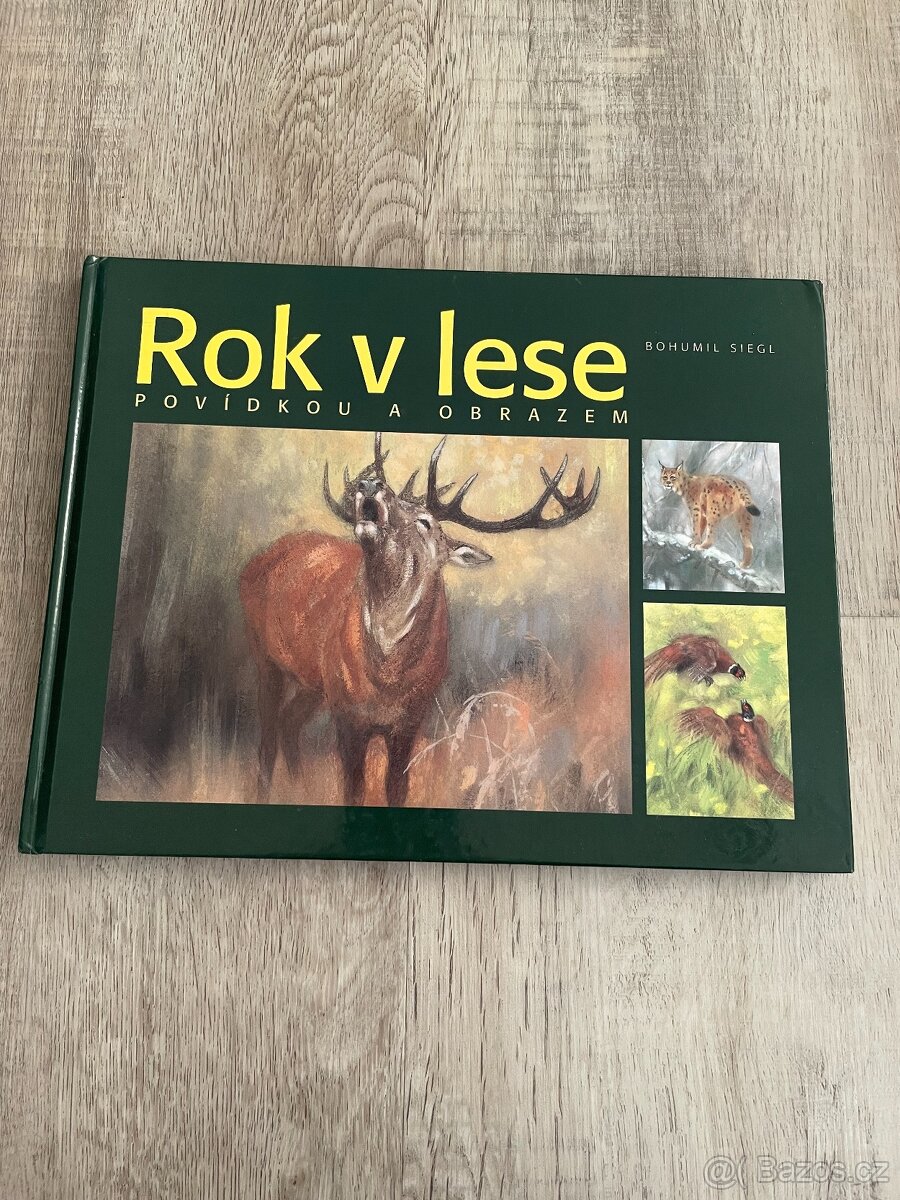 Rok v lese povídkou a obrazem Bohumil Siegl