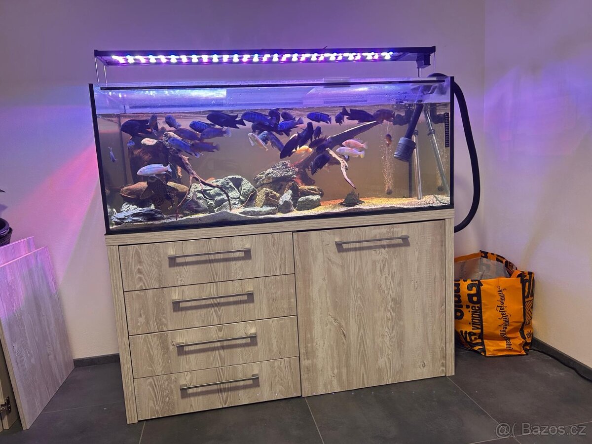 Prodám kompletní akvarijní set.