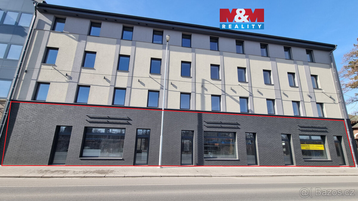 Pronájem nebytových prostor, 219 m², Český Těšín