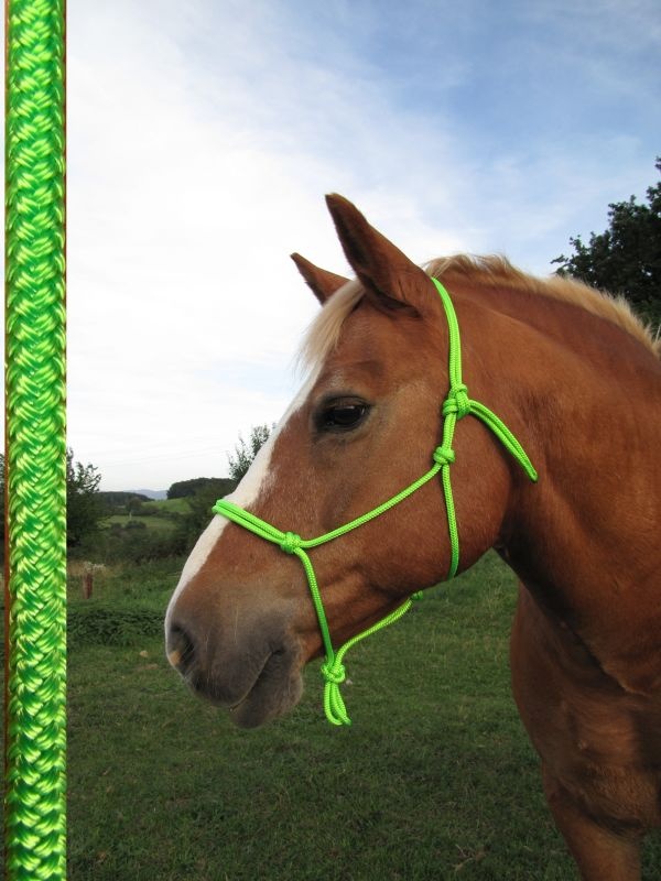 Provazová ohlávka - neonově zelené