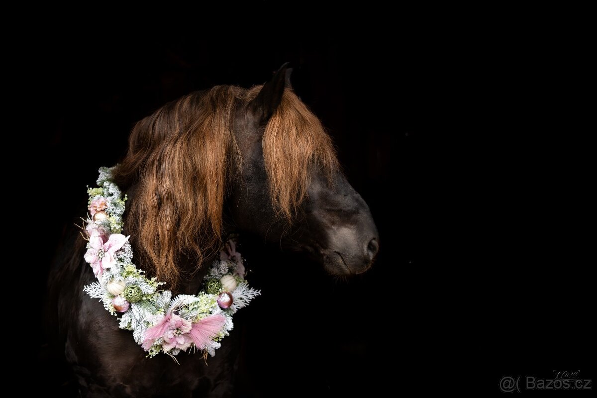 2328 Gringo připouštění