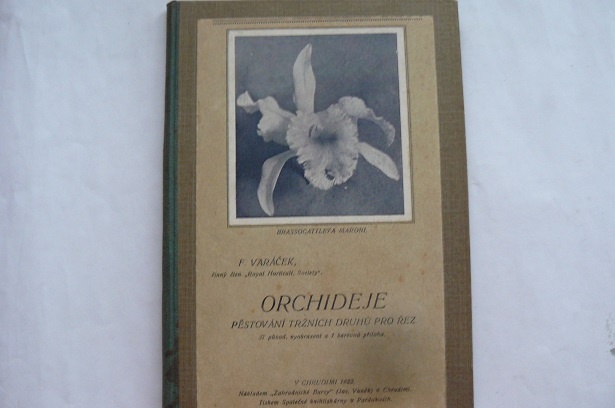 Orchideje