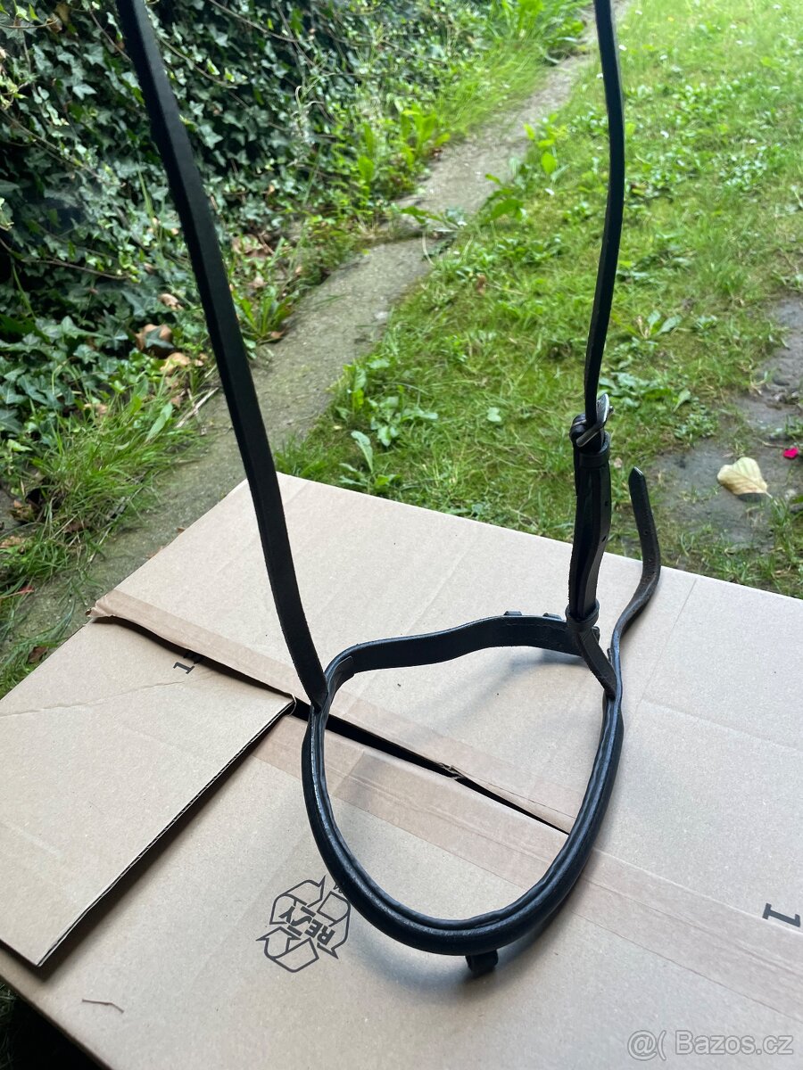 Černý anglicky nánosník Cob