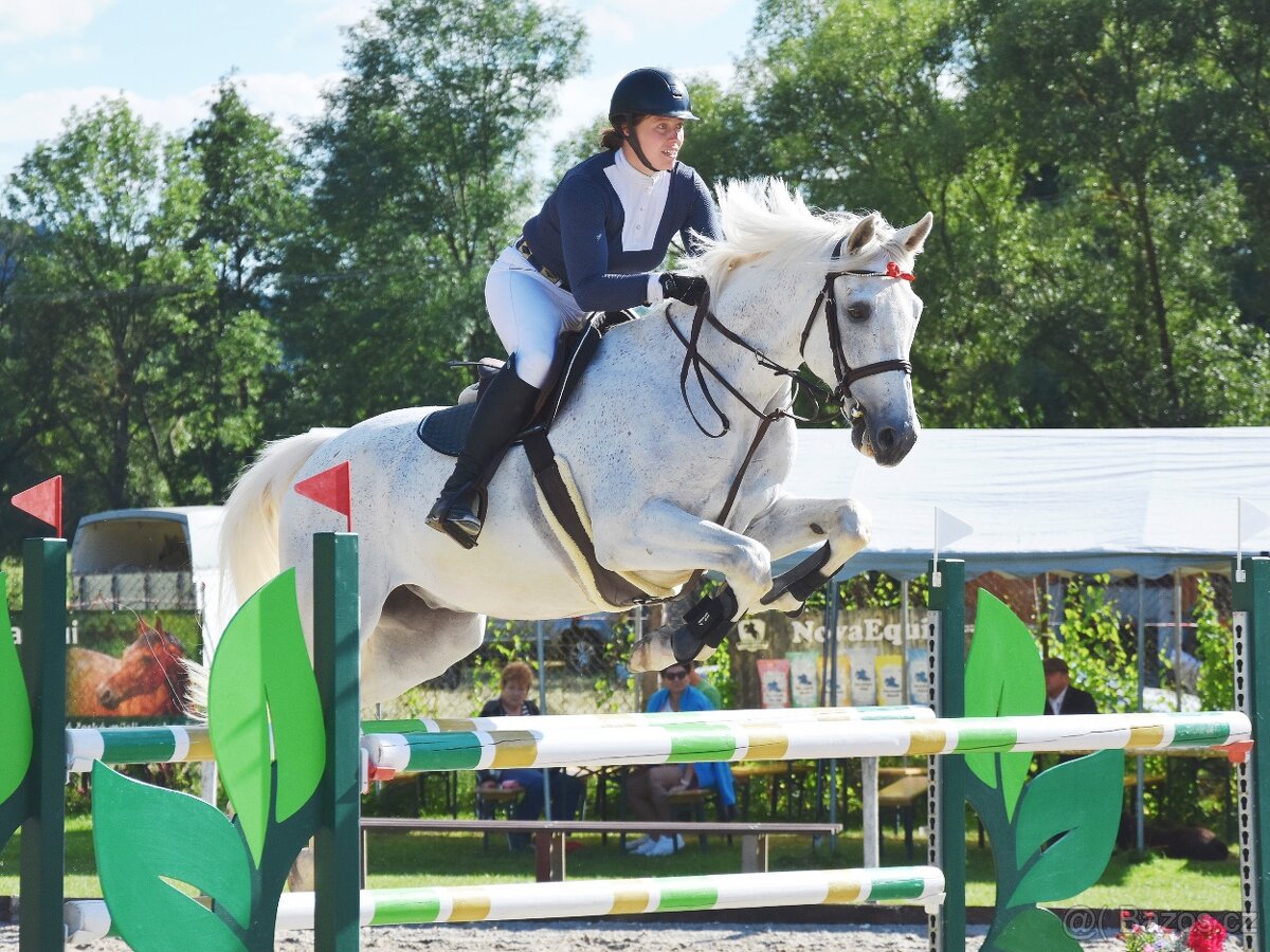 Trener, priprava na ZZVJ