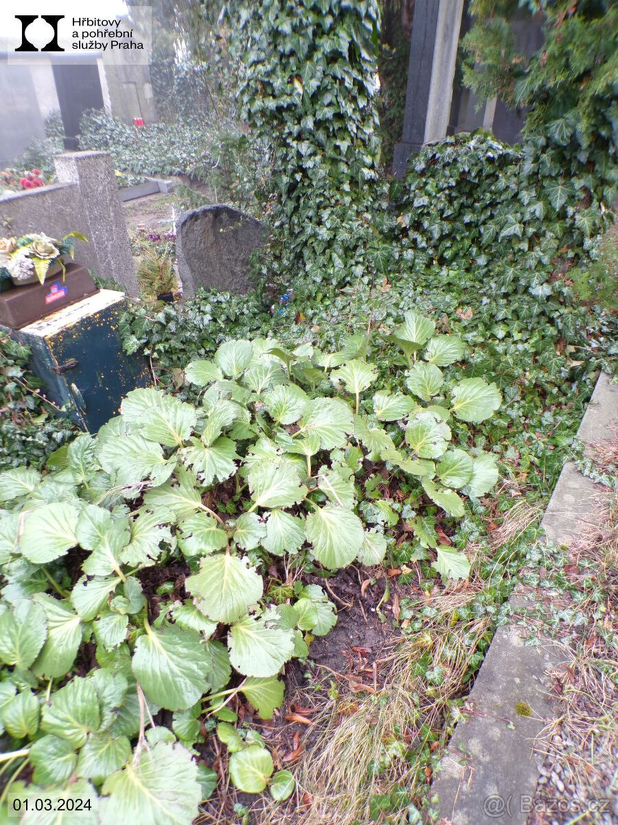 Hrob Praha Vinohrady