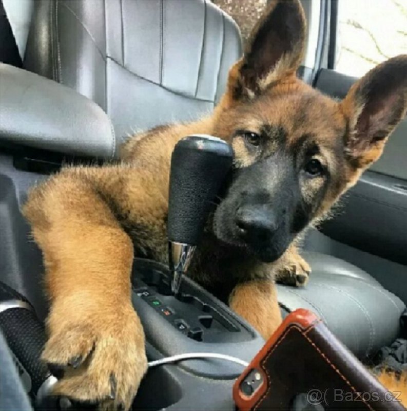 Převodovka Multitronic CVT DSG - OPRAVA