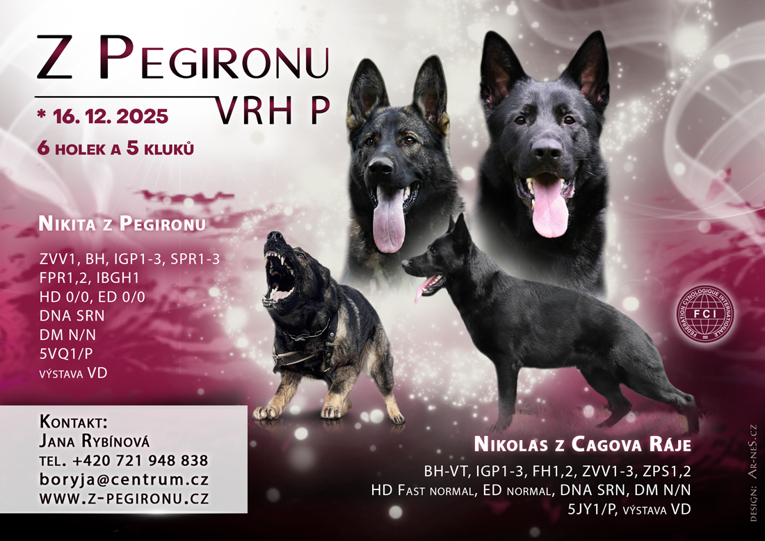 německý ovčák-štěnata