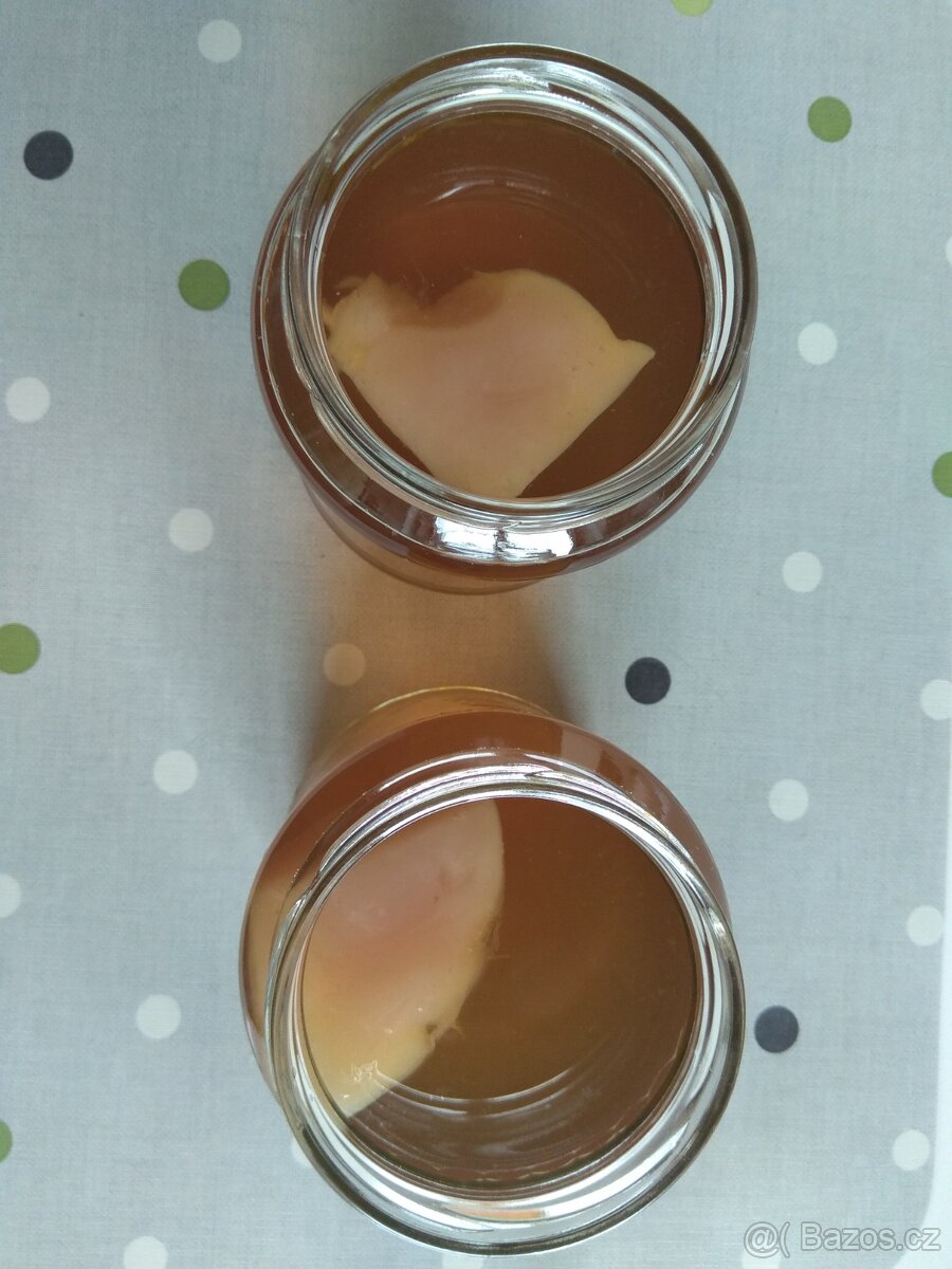 Kombucha - startovací sada