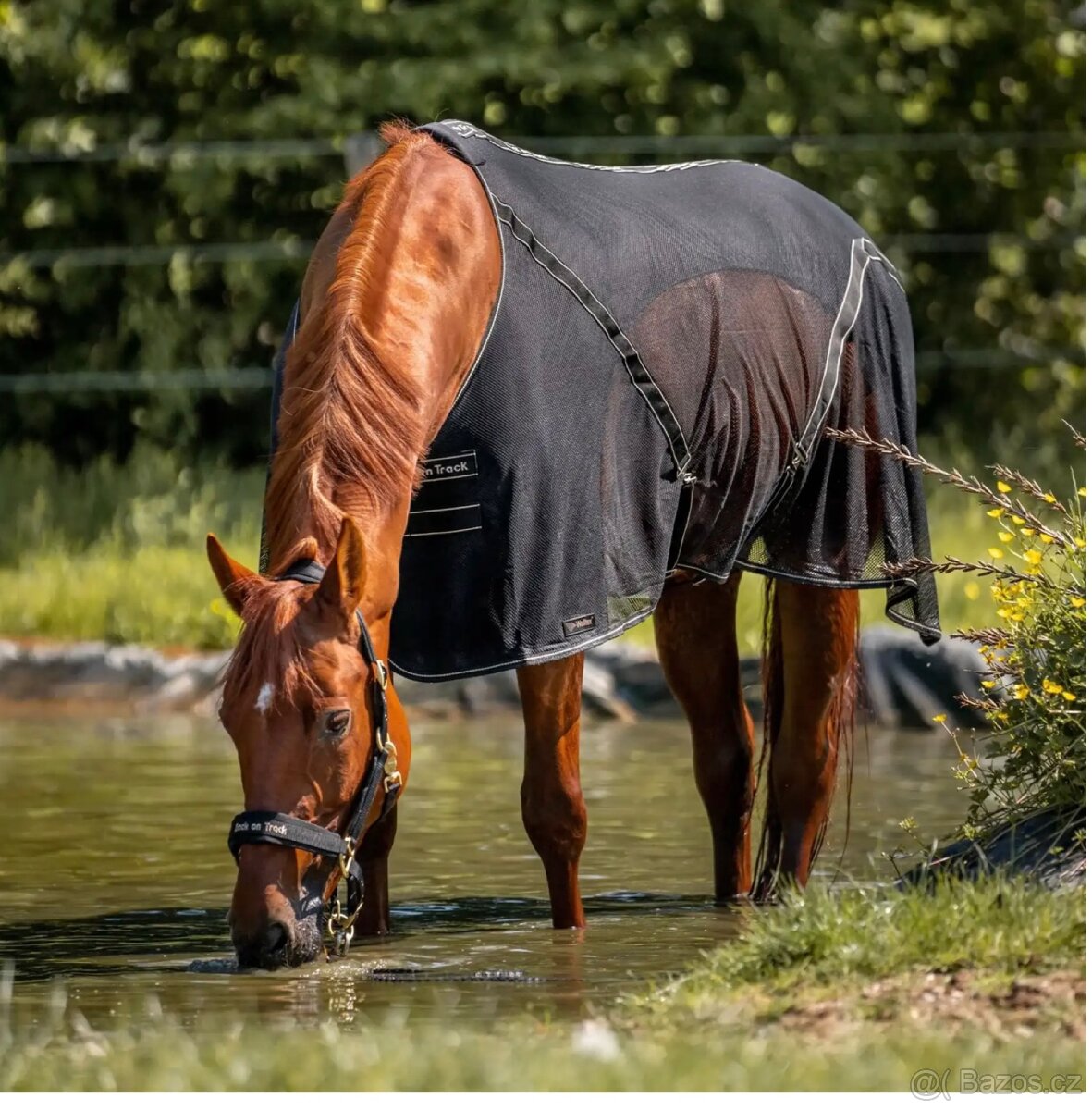 Deka síťovaná Back on Track SIENNA Cooler