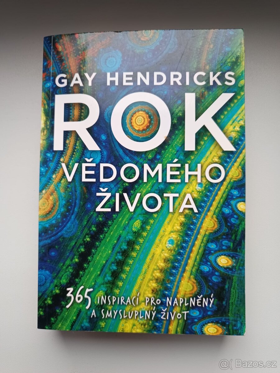 Rok vědomého života - Gay Hendricks