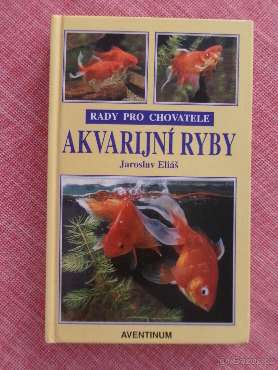Akvarijní ryby.