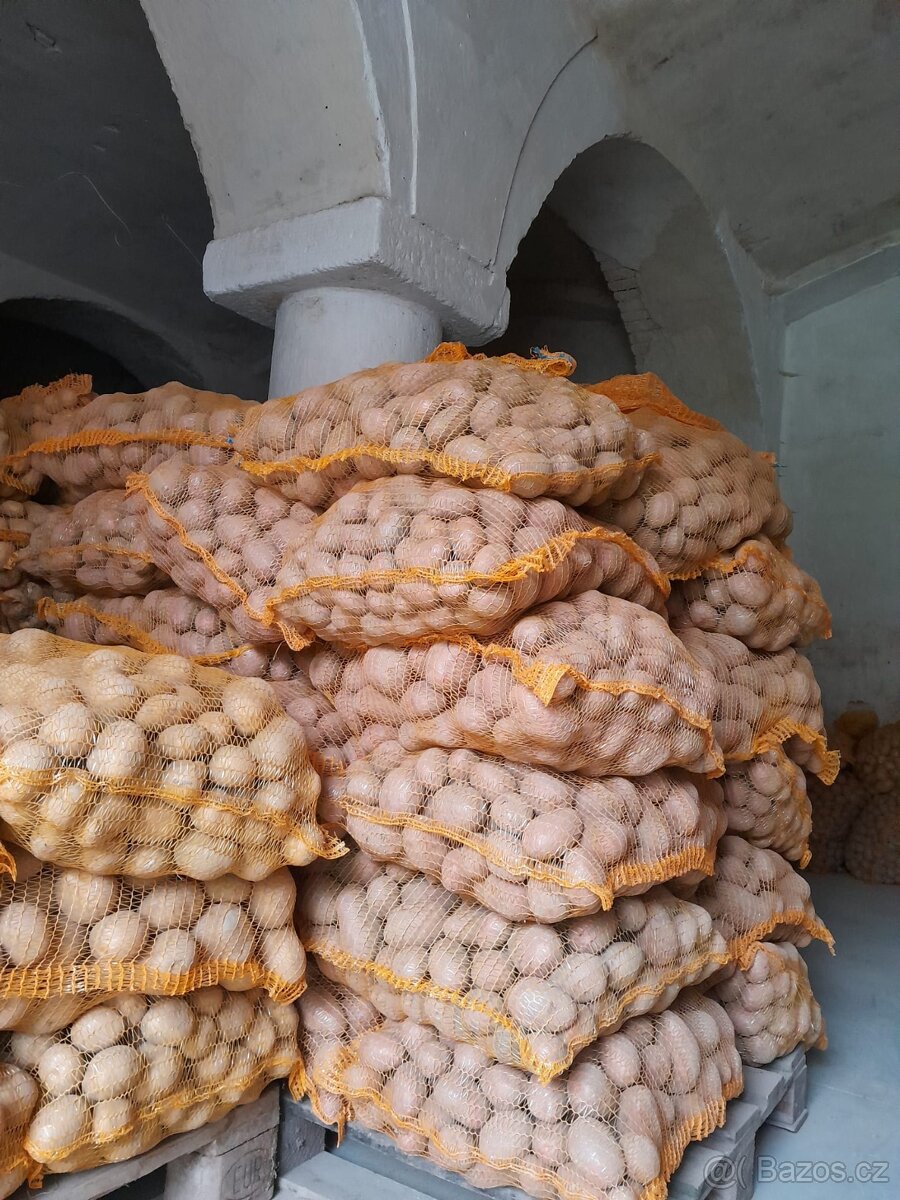 brambory na uskladnění, Plzeň