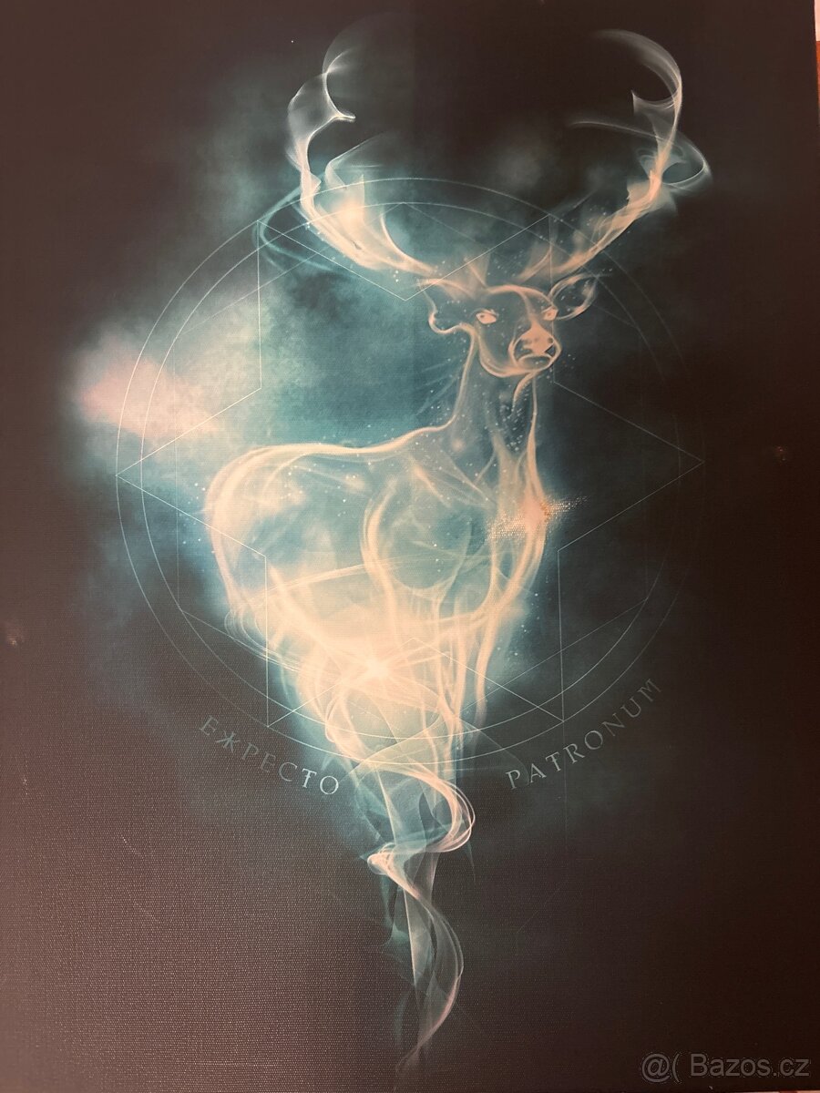 Harry porter - svítící obraz EXPECTO PATRONUM
